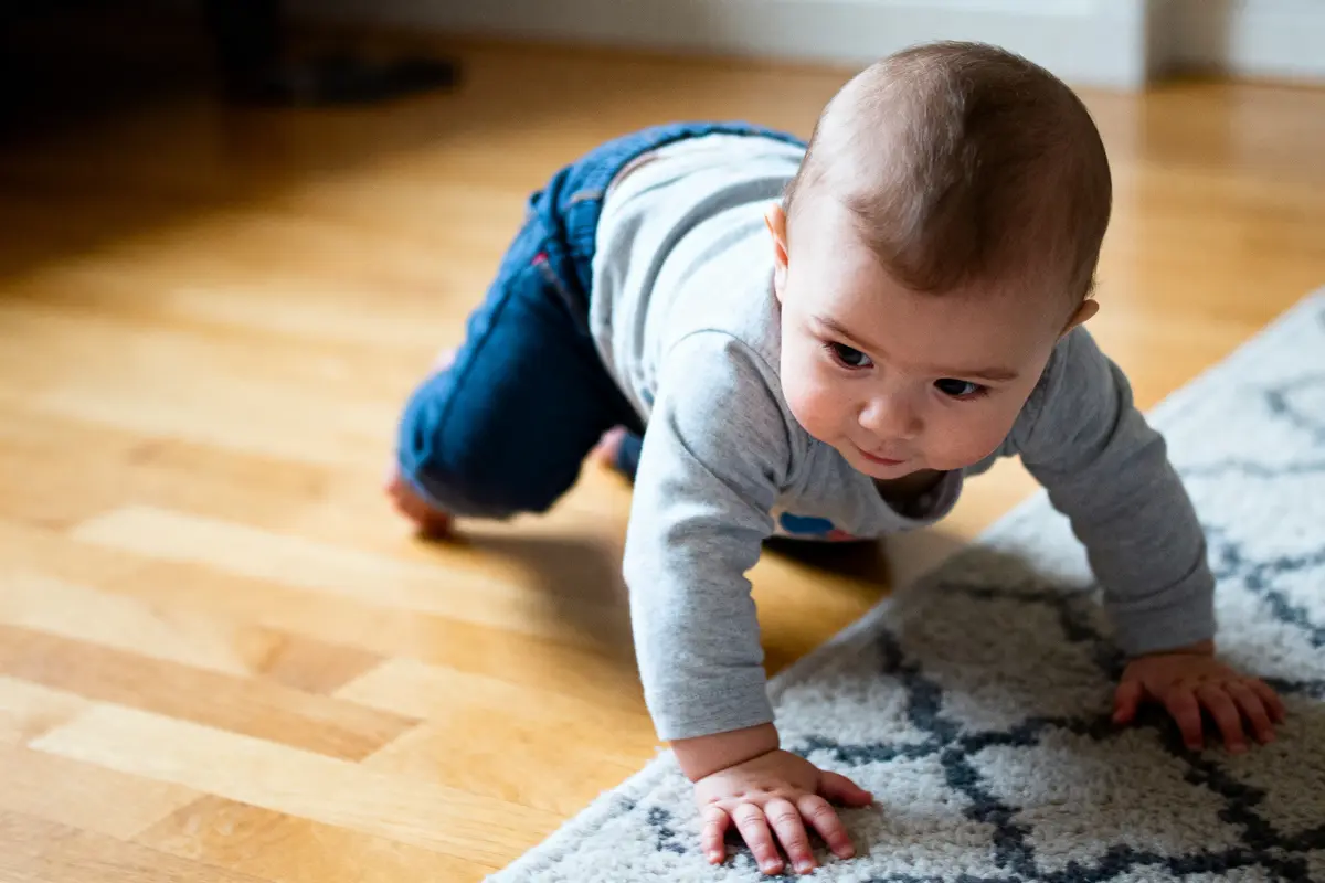 Bébé rampe sur le sol en bois et tapis, concentré et curieux.
